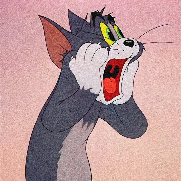 Scream In The Mirror