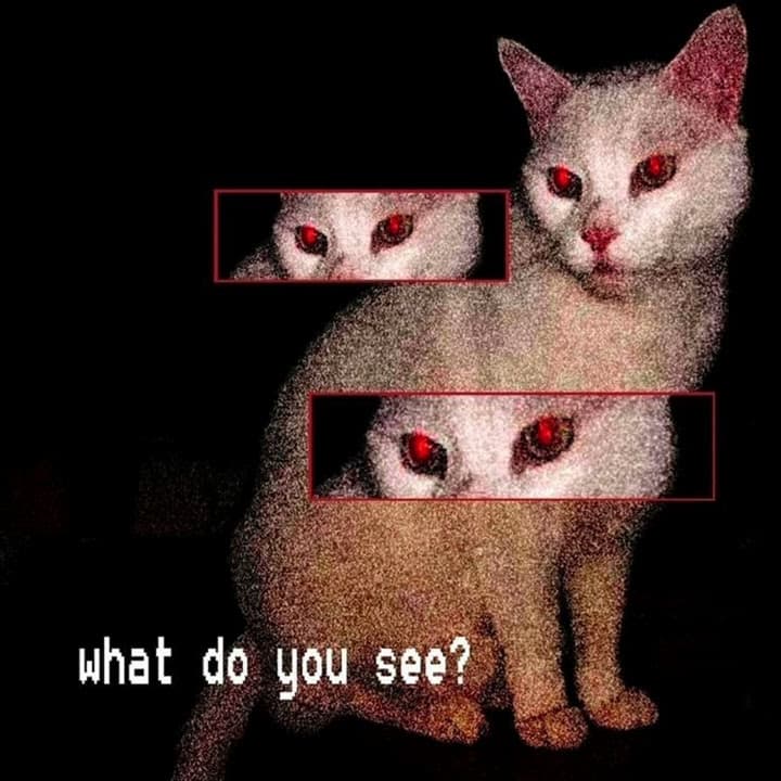 What Do You See